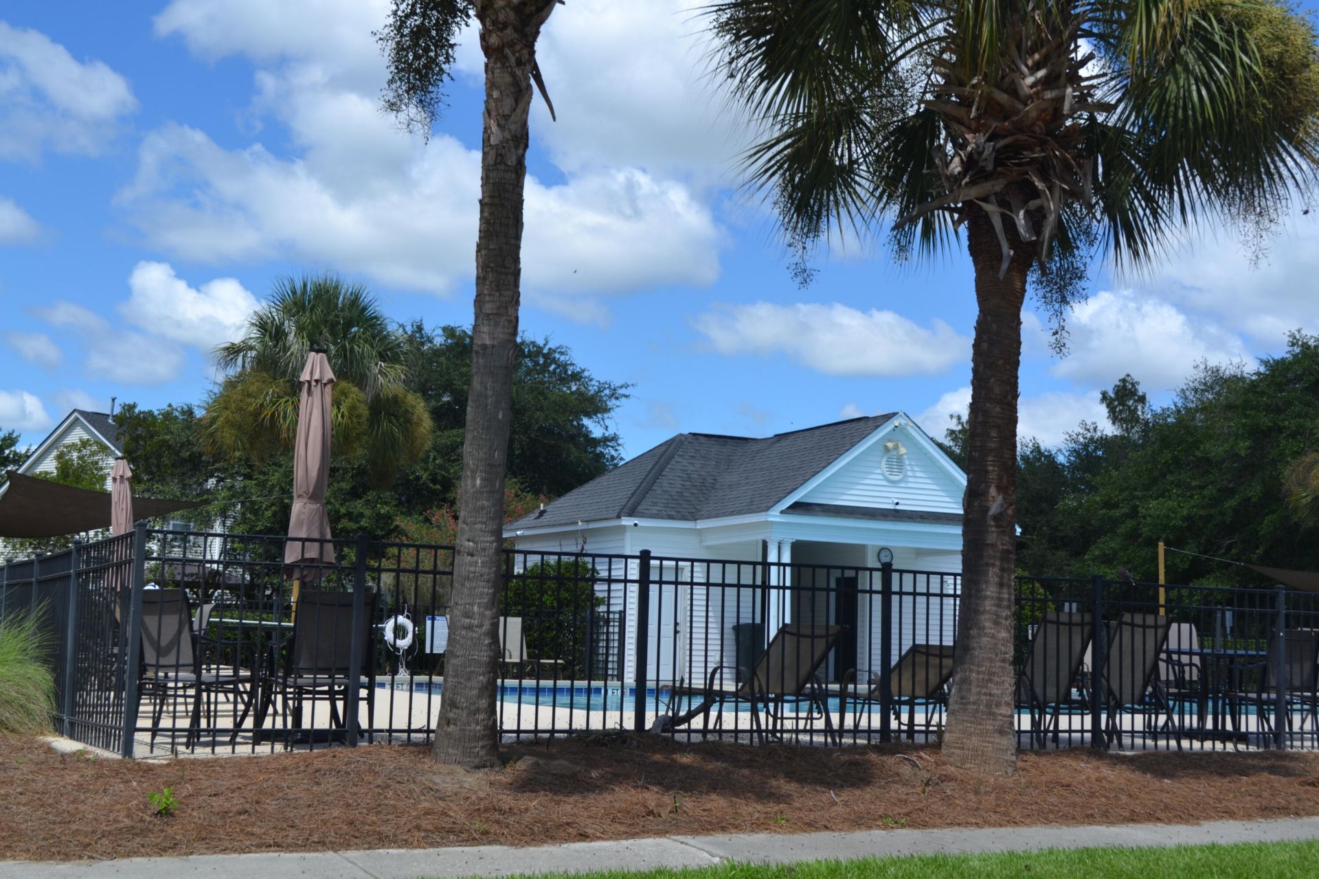 531 Ivy Circle Photo 38