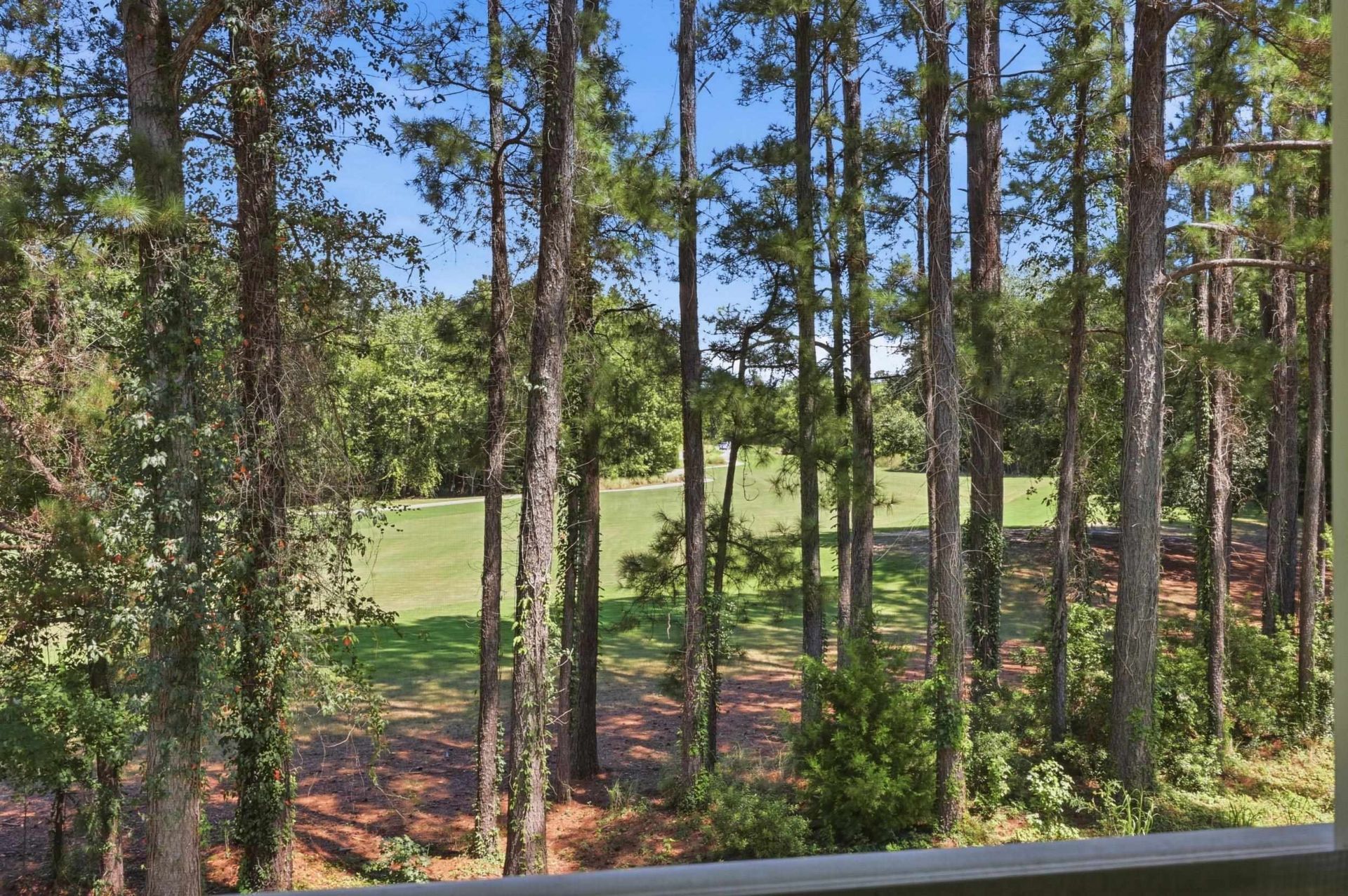 2450 Marsh Glen Dr. Photo 27