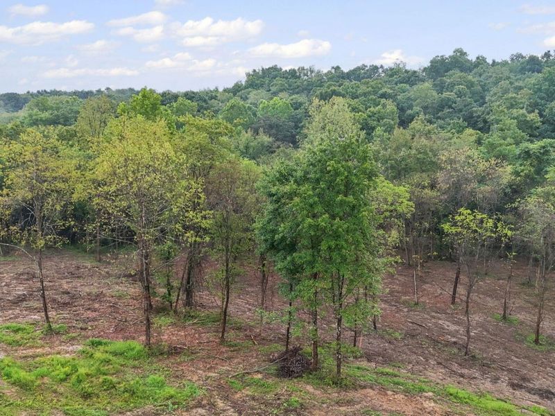 7575 Township Rd 58 , Somerset, OH 43783 Photo 19