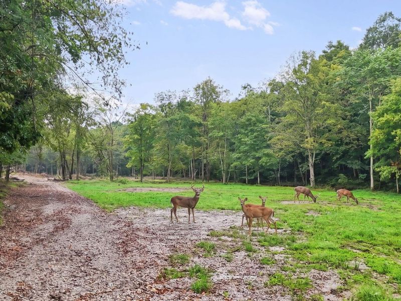 7575 Township Rd 58 , Somerset, OH 43783 Photo 6