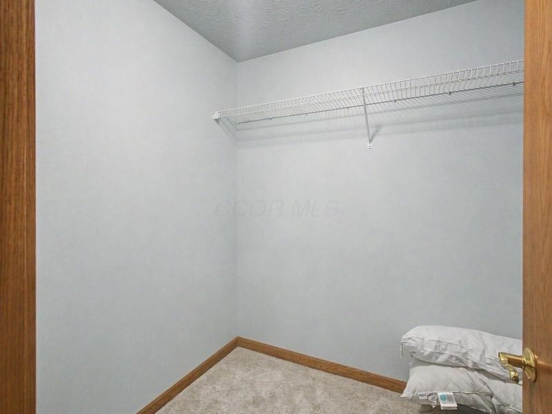 3171 Apple Valley Drive, Howard, OH 43028 Photo 14