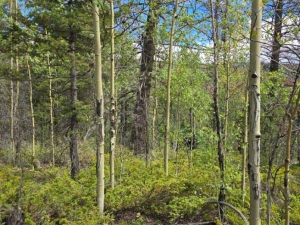 Lot 6269 Shioshita Road , San Luis, CO 81152