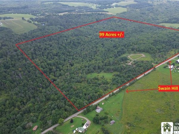 Swain Hill Road , Andover, NY 14806