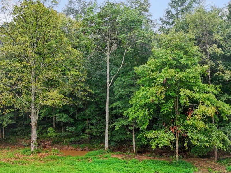 7575 Township Rd 58, Somerset, OH 43783 Photo 19