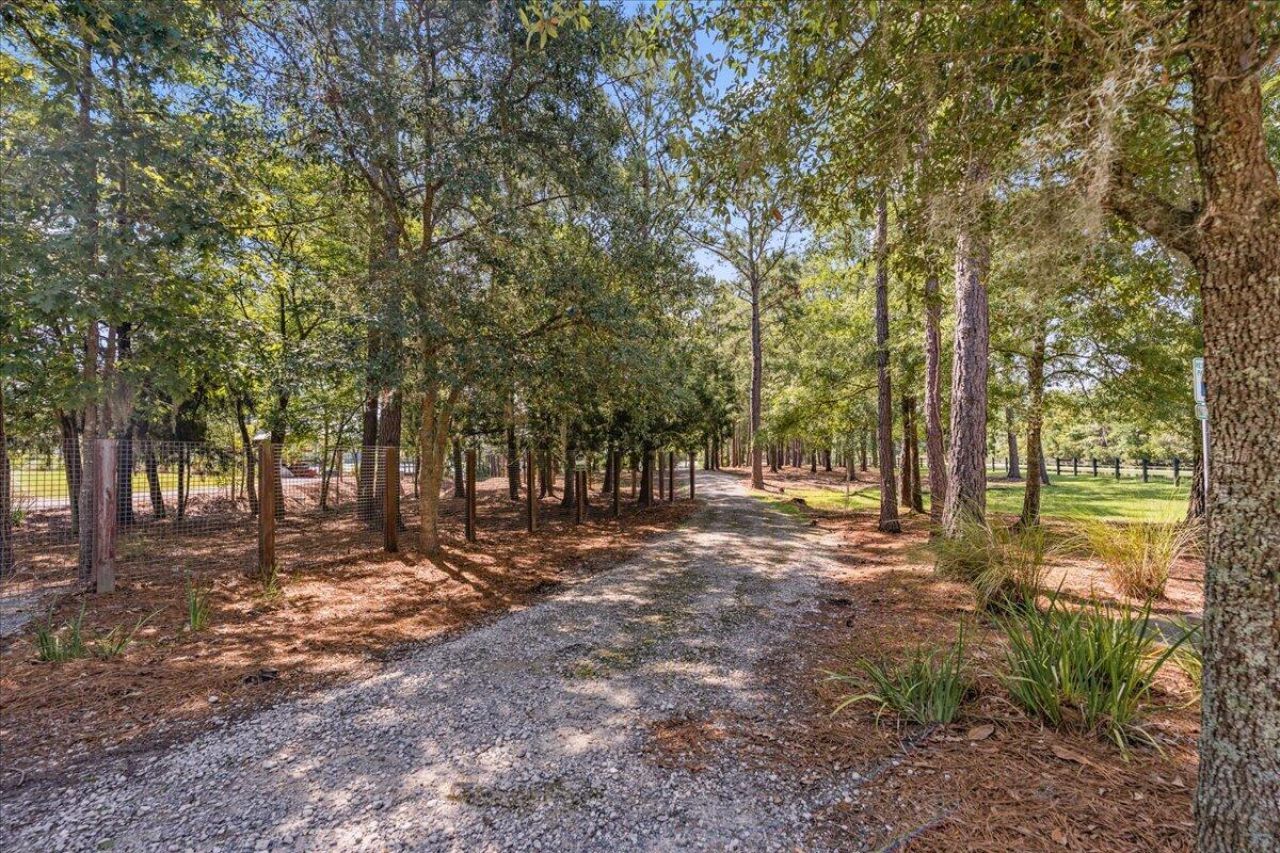 121 Sugarberry Way Photo 50