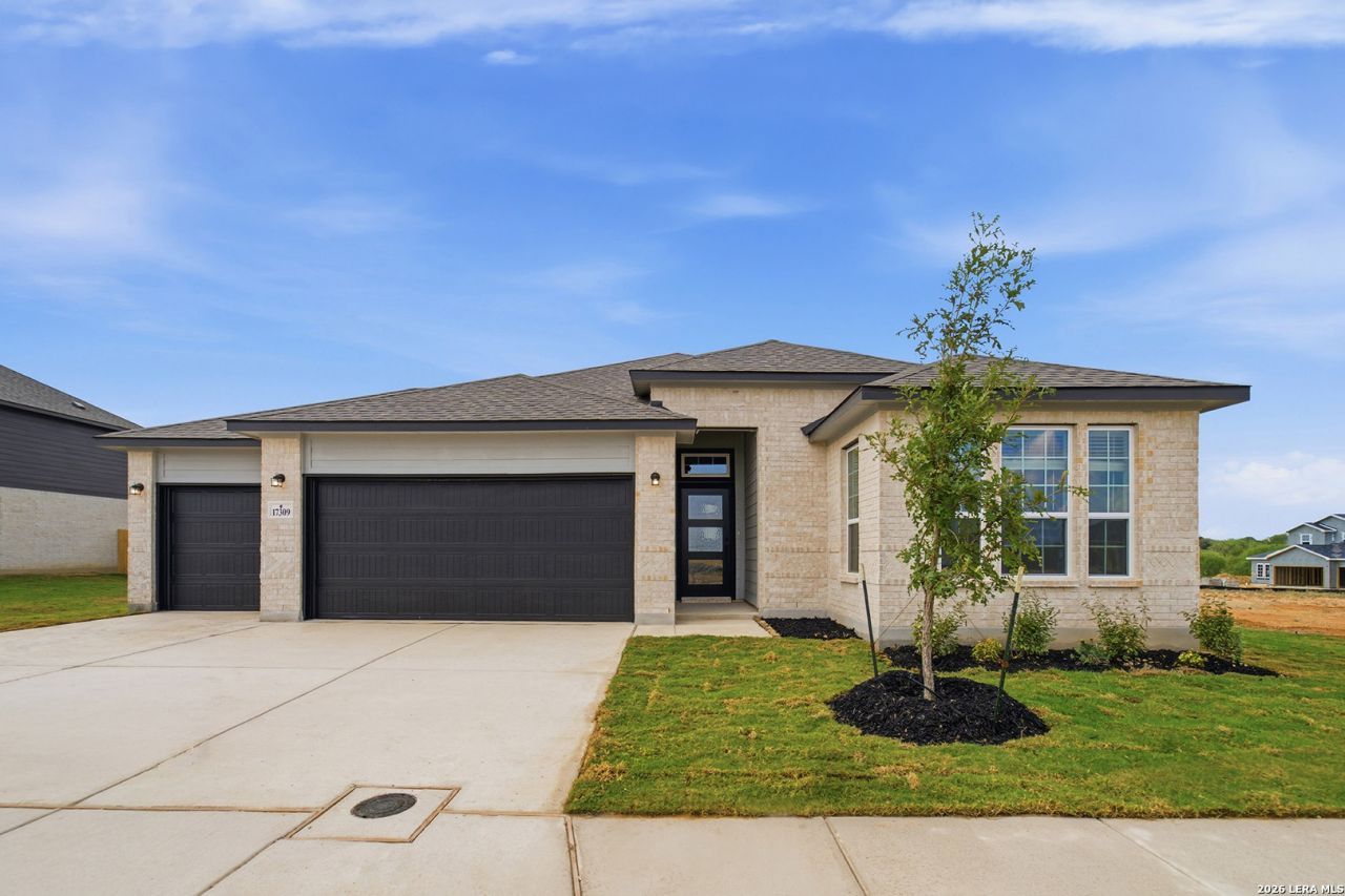 17309 Scotch Pine Dr, Elmendorf, TX 78112 Main Photo