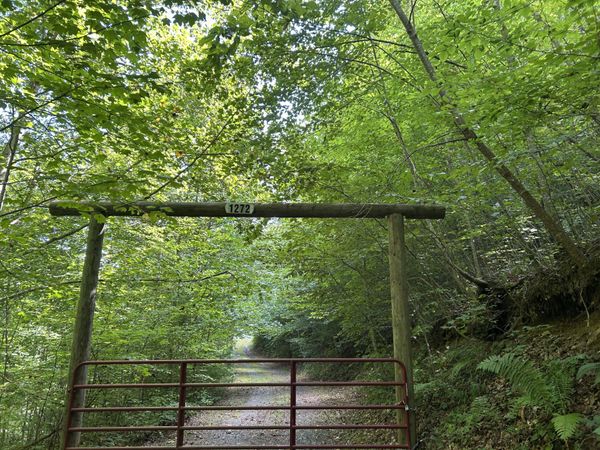1272 Briar Fork Road, Bean Station, TN 37708