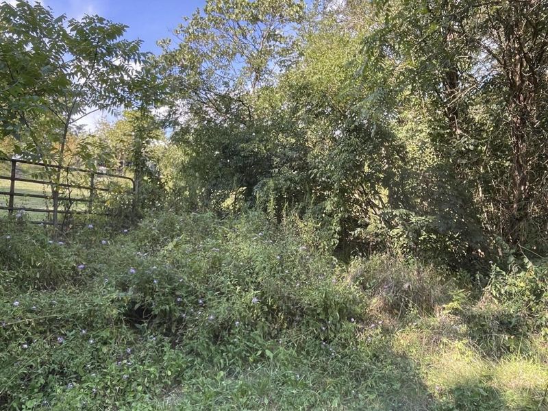 1286 E Low Gap Road, Cold Spring, KY 41076 Photo 10