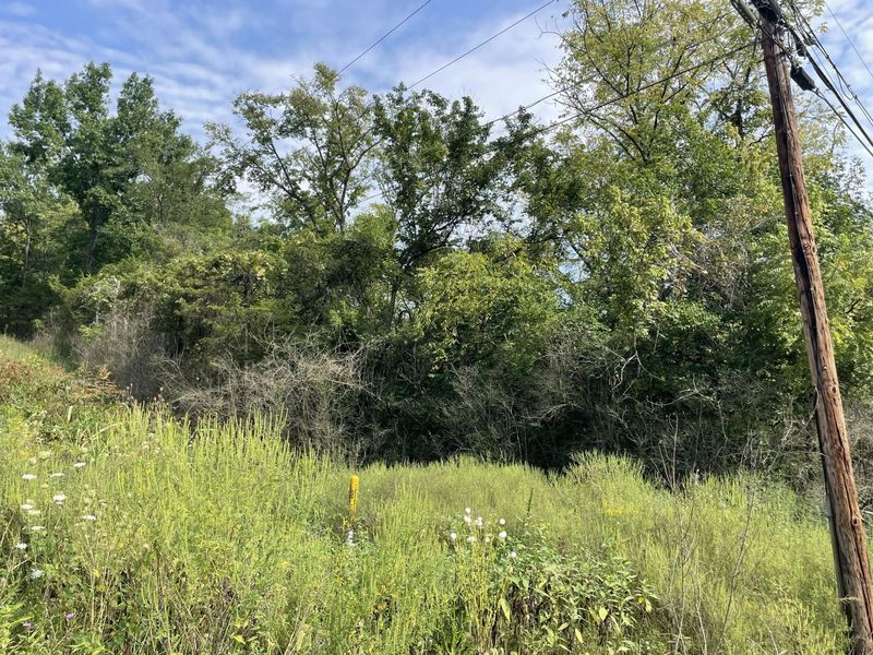 1286 E Low Gap Road, Cold Spring, KY 41076 Photo 9