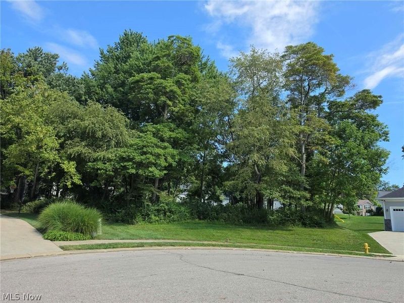 1347 Cherry Bark Court, Heath, OH 43056 Photo 1