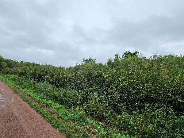 0 Anderson Lane, Hayward, WI 54821