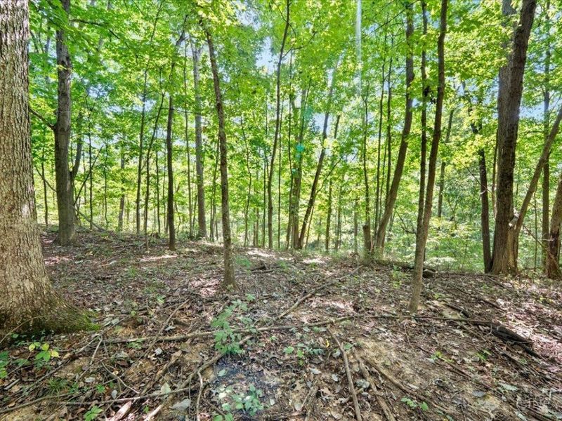 1061 Richardson Road, Concord Township, OH 45679 Photo 18