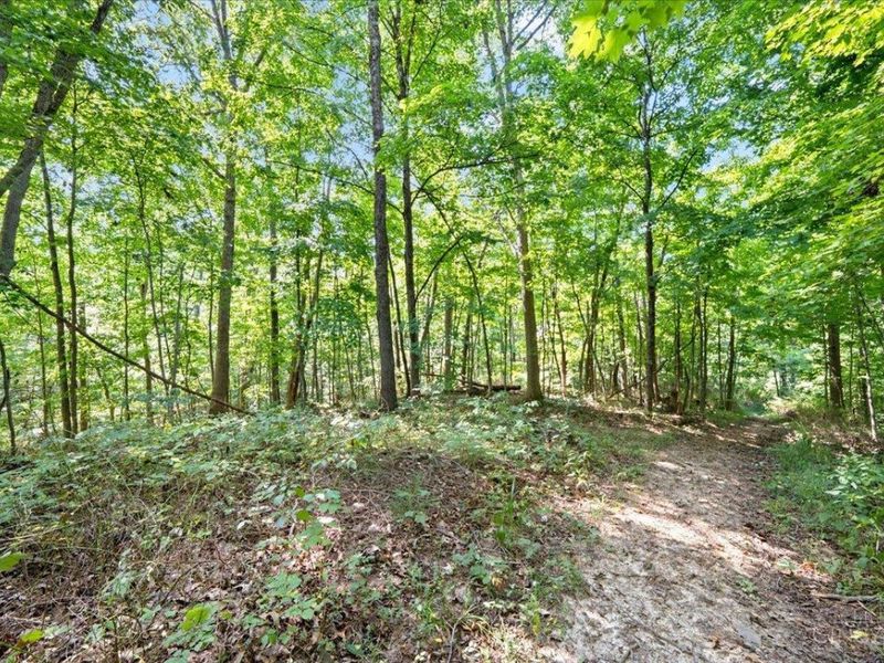 1061 Richardson Road, Concord Township, OH 45679 Photo 19