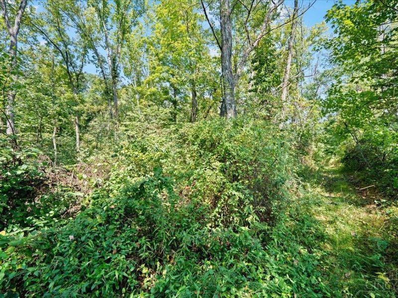 1061 Richardson Road, Concord Township, OH 45679 Photo 21