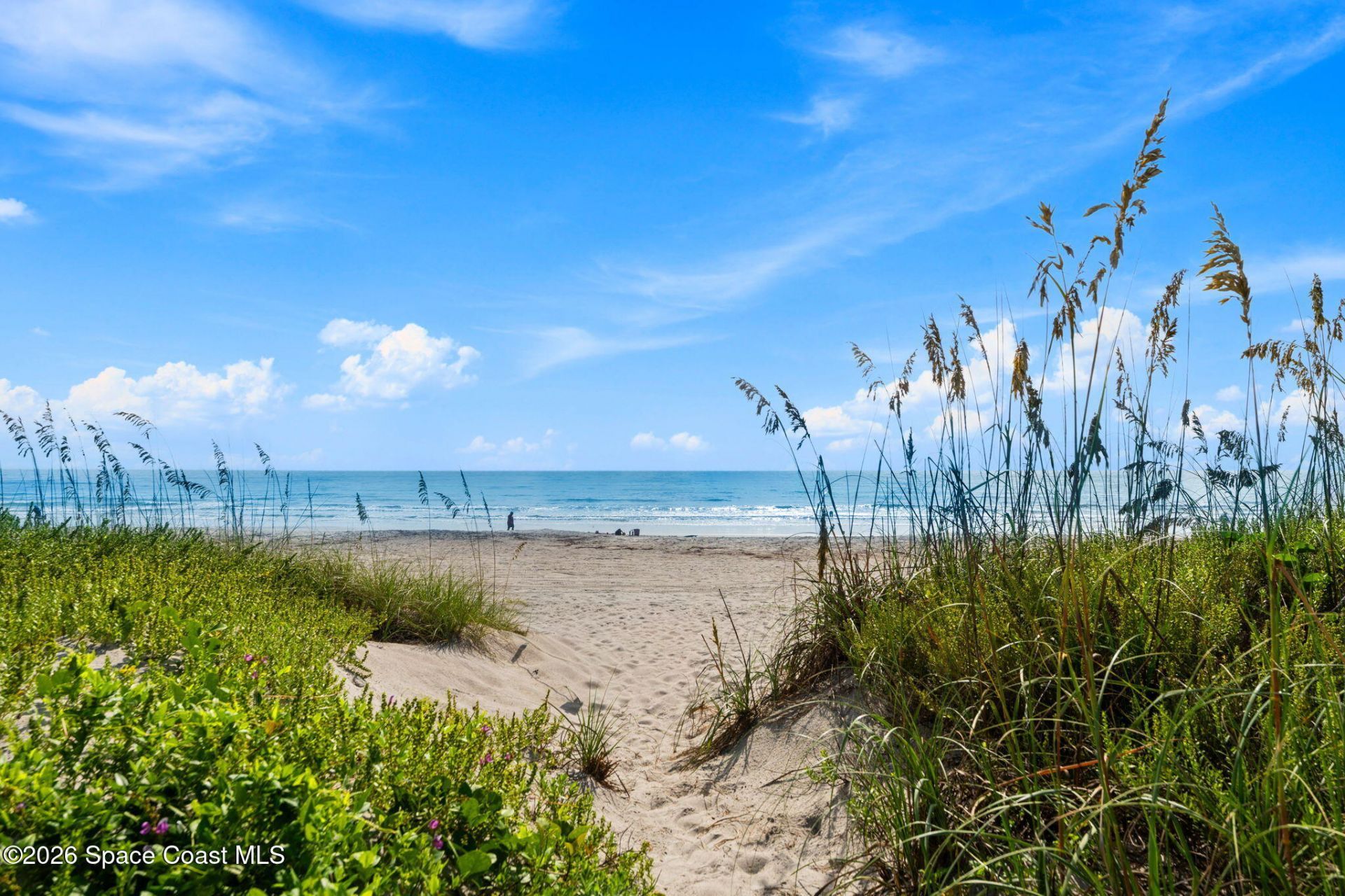 225 N Atlantic Avenue, Unit 603, Cocoa Beach, FL 32931 Photo