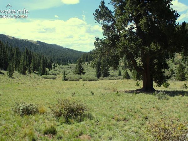 3956 FS 659 Road, Fairplay, CO 80440