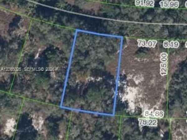 783 Clair De Lune DR , Lake Placid, FL 33852
