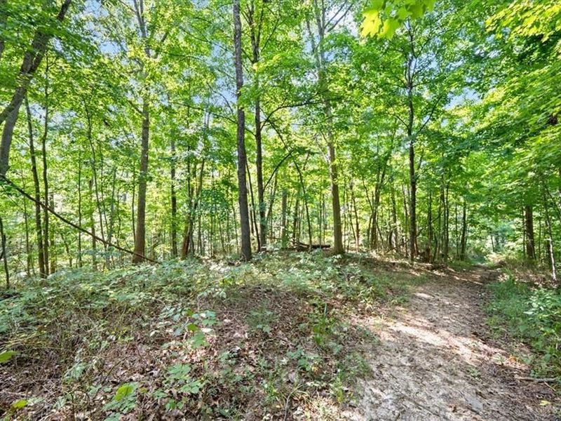 1061 Richardson Road, Winchester, OH 45679 Photo 14