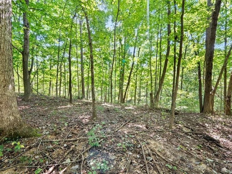 1061 Richardson Road, Winchester, OH 45679 Photo 15