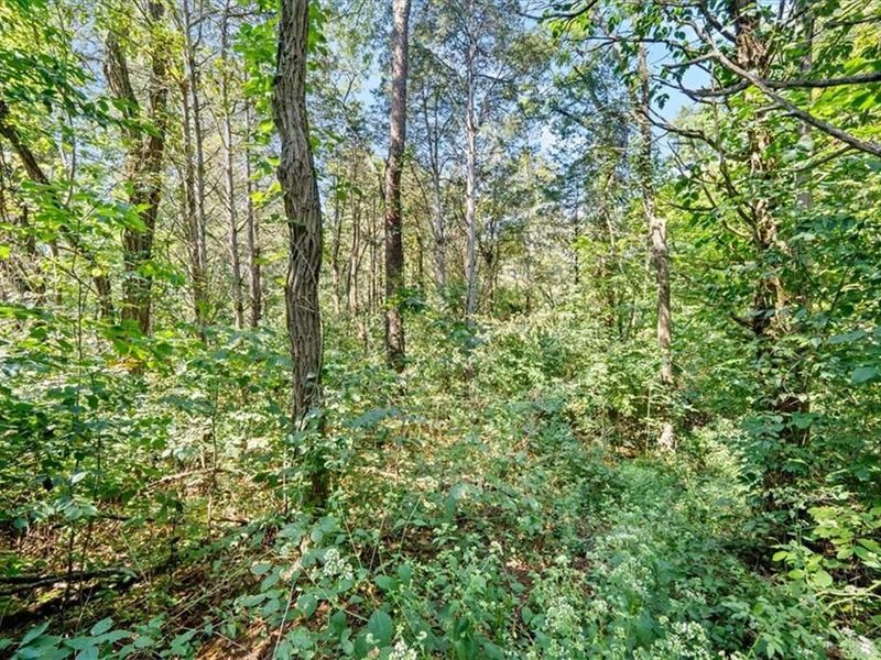 1061 Richardson Road, Winchester, OH 45679 Photo 18