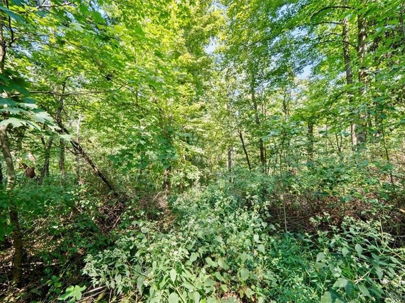 1061 Richardson Road, Winchester, OH 45679 Photo 20