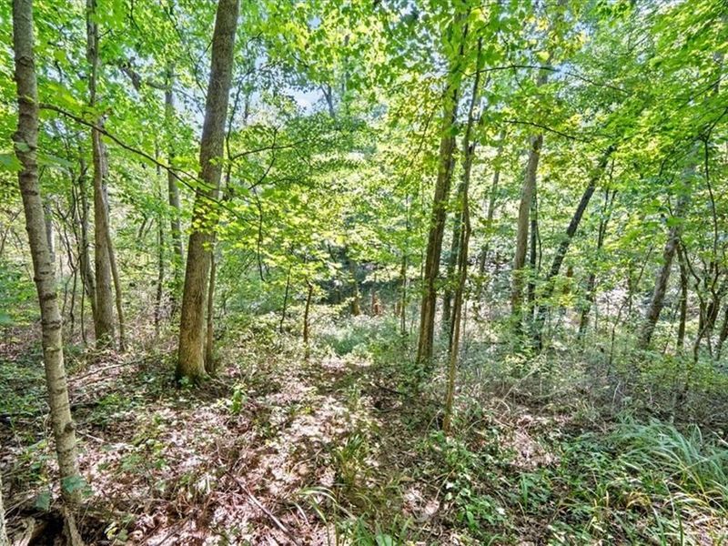 1061 Richardson Road, Winchester, OH 45679 Photo 21