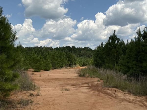 Smithtown Road, Tylertown, MS 39667