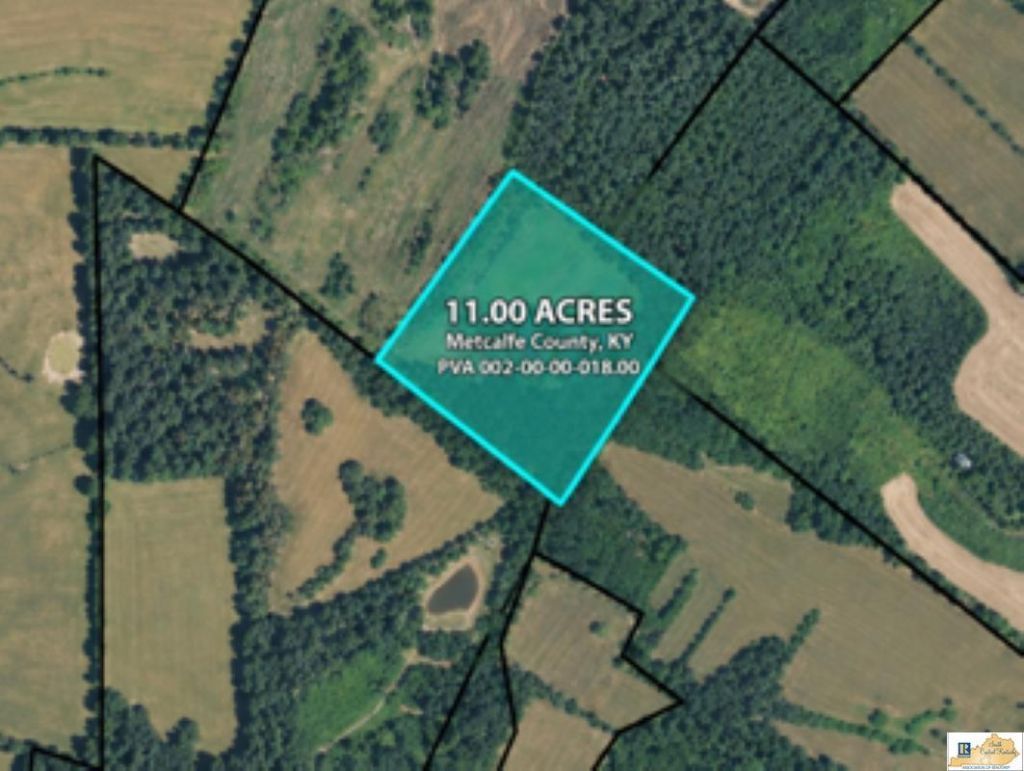 11a Park-savoyard Road, Horse Cave, KY 42749 Main Photo
