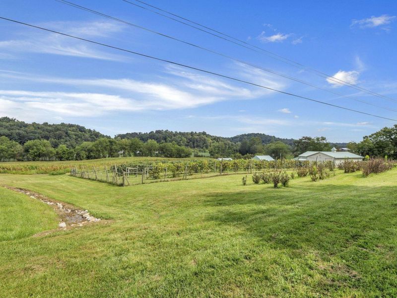 9065 Clay Pike Road, Chandlersville, OH 43727 Photo 35