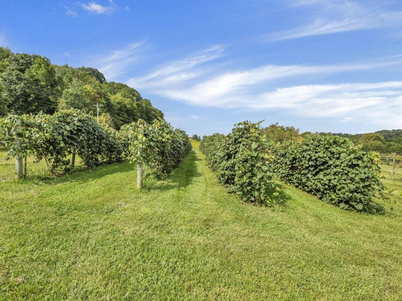 9065 Clay Pike Road, Chandlersville, OH 43727 Photo 5