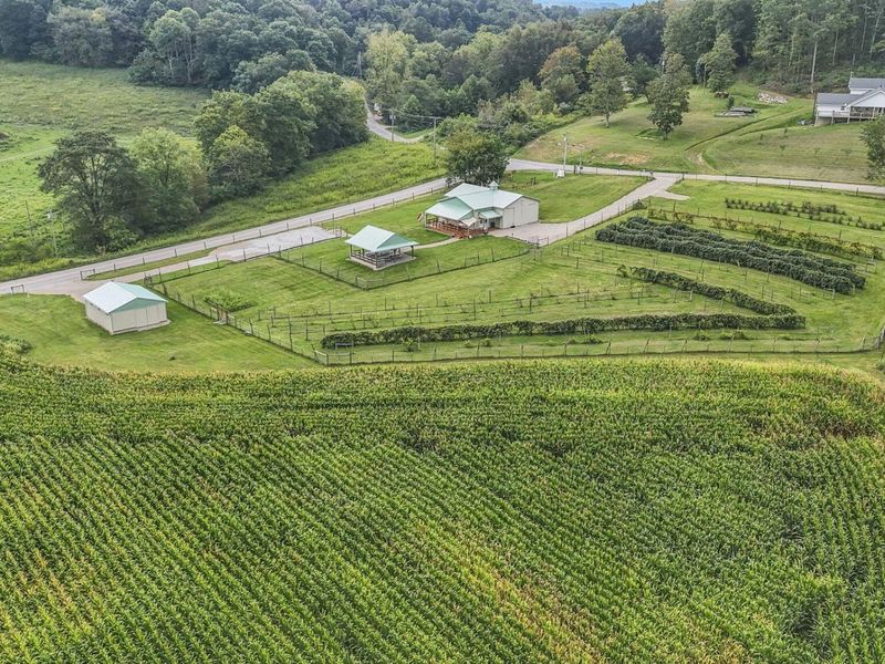 9065 Clay Pike Road, Chandlersville, OH 43727 Photo 50