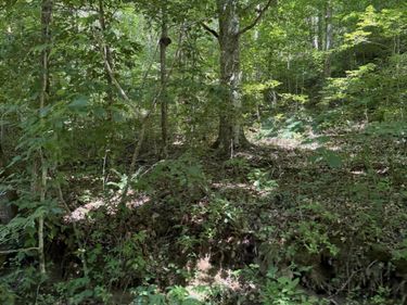 370 Roaring Fork Road, Walker, KY 40997