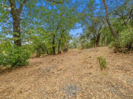 1200 Cebu Ln, Placerville, CA 95667 Photo