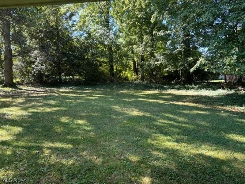 463 Colonial Drive, Youngstown, OH 44505 Photo 18