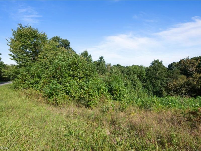 0 Houston Road, Little Hocking, OH 45742 Photo 9