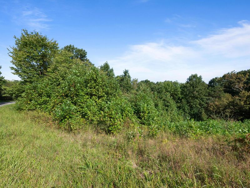 0 Houston Road, Little Hocking, OH 45742 Photo 9