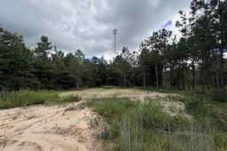 1.25 Acres - N Fraser St. photo 4