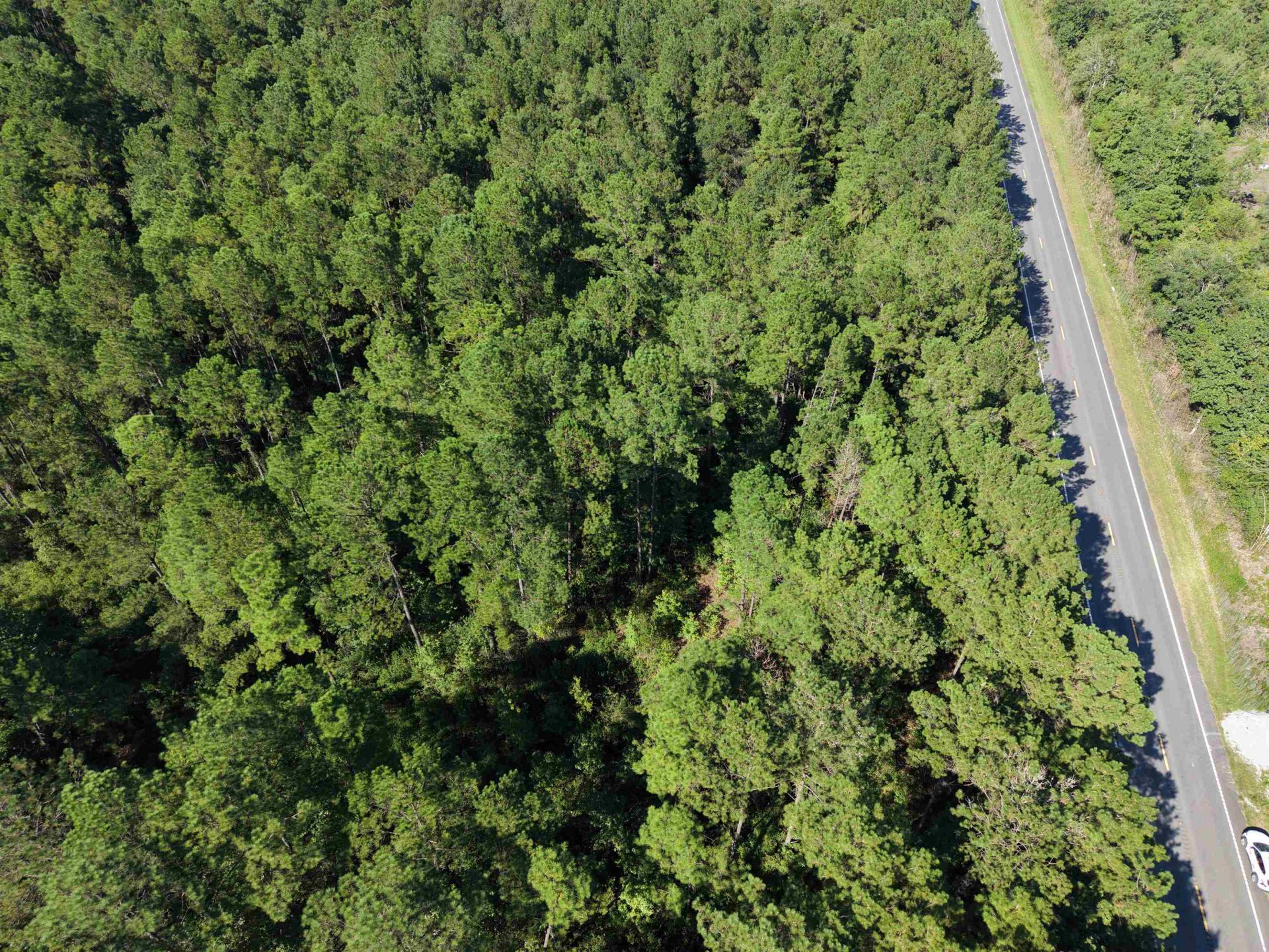 1.25 Acres - N Fraser St. Photo 4
