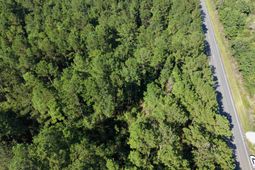 1.25 Acres - N Fraser St. photo 4