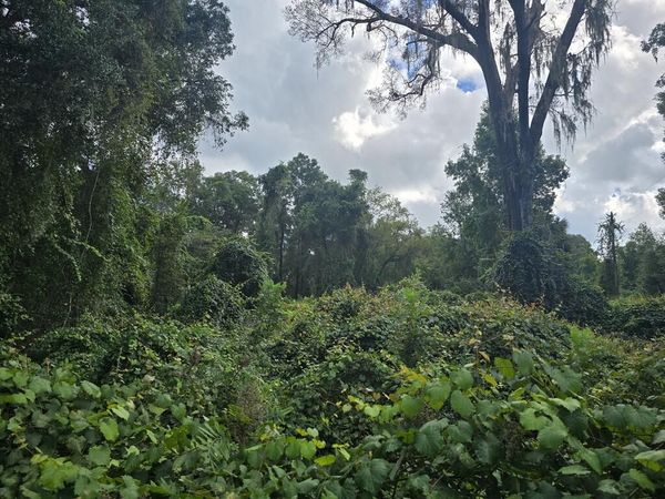 SE 225th Dr, Hawthorne, FL 32640