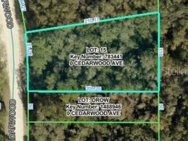 CEDARWOOD AVENUE , WEEKI WACHEE, FL 34614