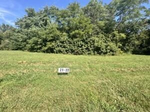 LOTS 21 & 22 Wildlife Drive , Blue Grass, IA 52726