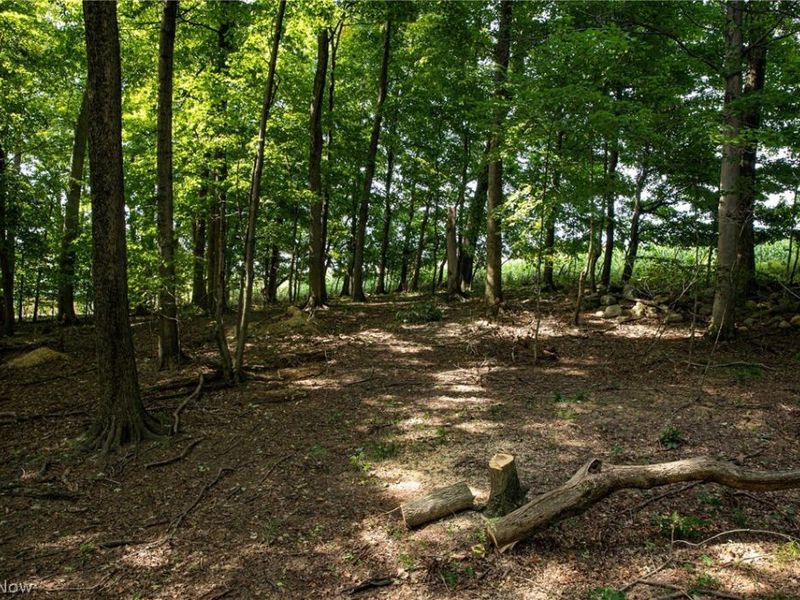 Smith Road SW, Navarre, OH 44662 Photo 10