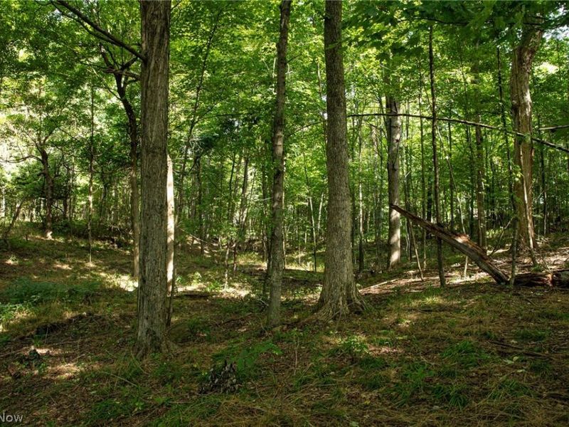 Smith Road SW, Navarre, OH 44662 Photo 2