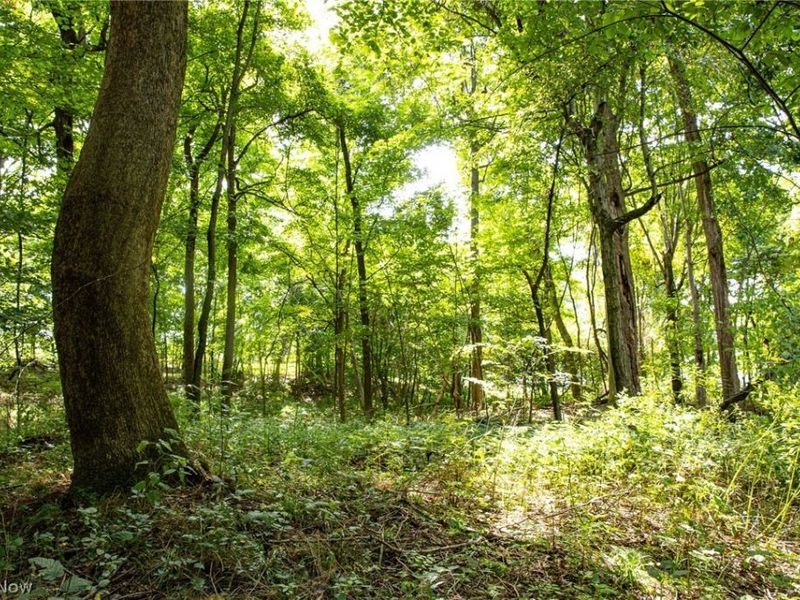 Smith Road SW, Navarre, OH 44662 Photo 4
