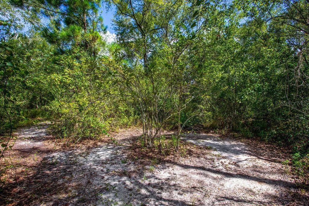 4671 SW 80th Way, Lake Butler, FL 32054 Photo