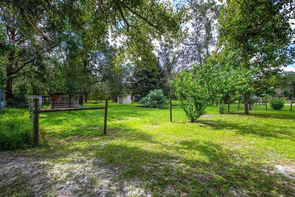 4671 SW 80th Way, Lake Butler, FL 32054 Photo