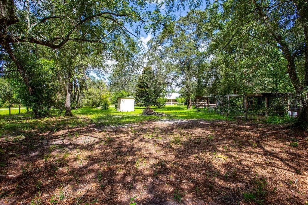 4671 SW 80th Way, Lake Butler, FL 32054 Photo