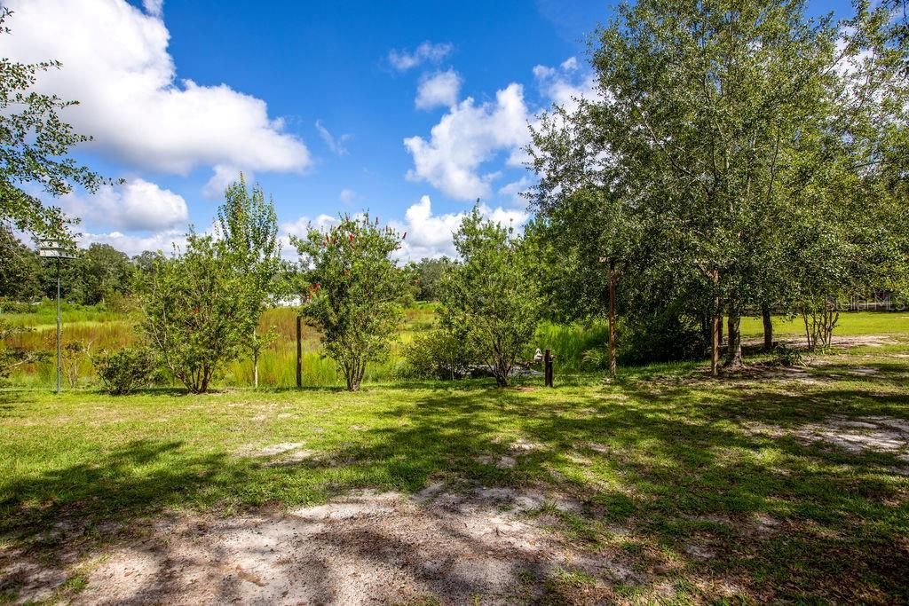 4671 SW 80th Way, Lake Butler, FL 32054 Photo
