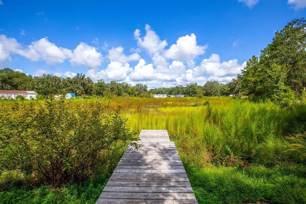 4671 SW 80th Way, Lake Butler, FL 32054 Photo